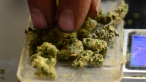 US-HOLIDAY-INDEPENDENCE DAY-MARIJUANA-MARKET