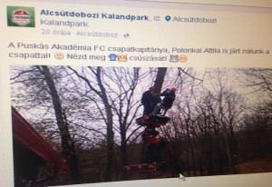 alcsútdobozi mészáros park