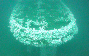 uss connestoga