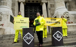 greenpeace-legfőbb ügyészség