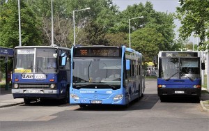 buszok